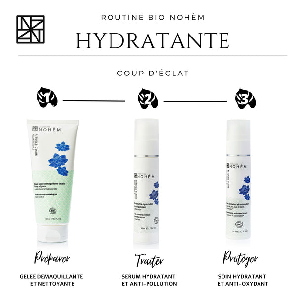 Hydrating and antioxidant treatment