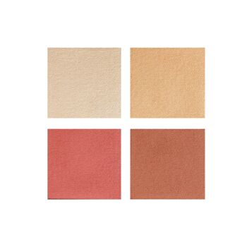 Lab Vegetal 001 blush blush palette